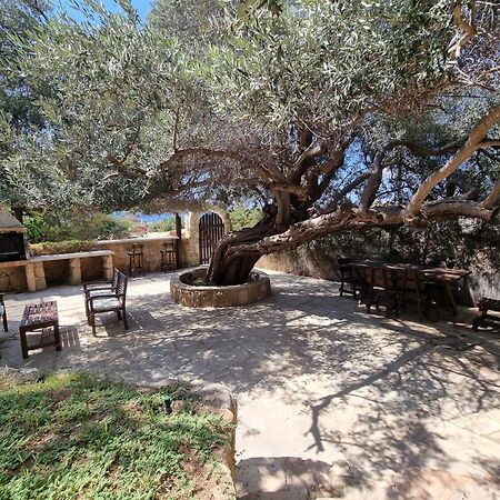 Olive Beach Villa Pegeia Eksteriør billede
