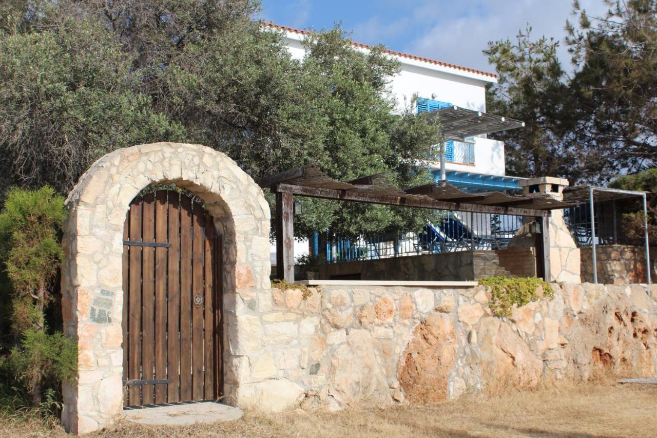 Olive Beach Villa Pegeia Eksteriør billede