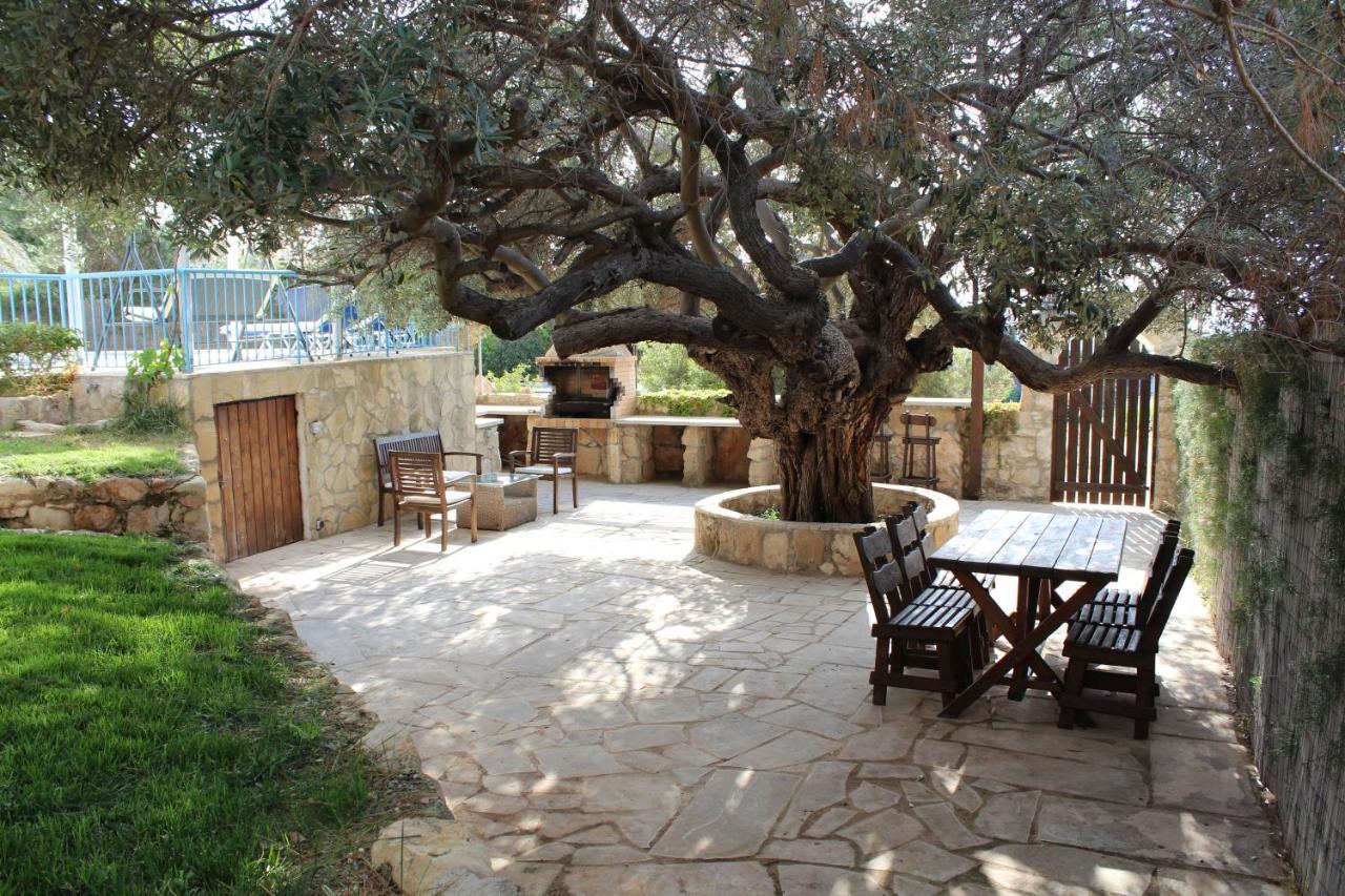 Olive Beach Villa Pegeia Eksteriør billede