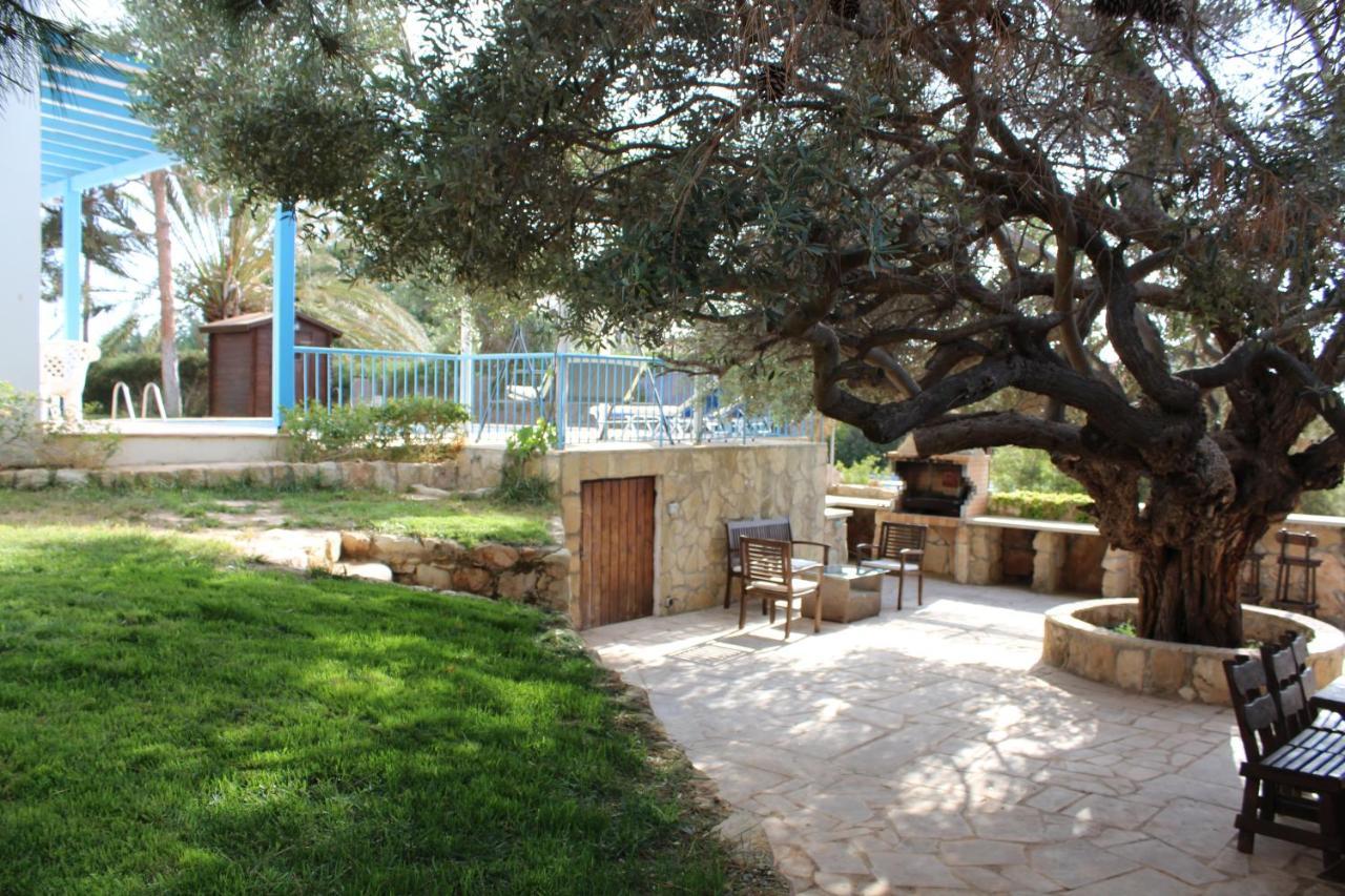 Olive Beach Villa Pegeia Eksteriør billede