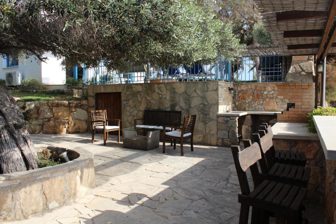 Olive Beach Villa Pegeia Eksteriør billede