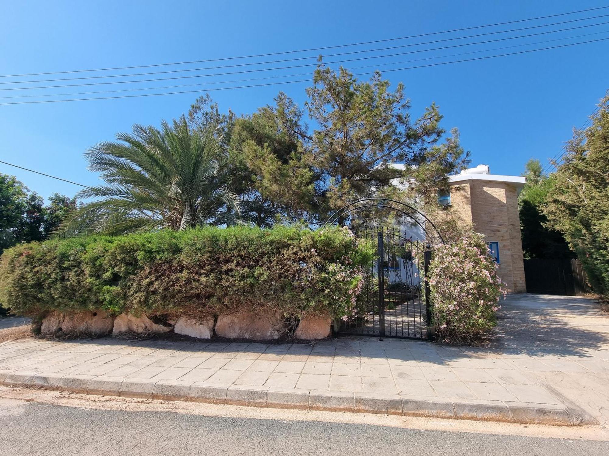 Olive Beach Villa Pegeia Eksteriør billede