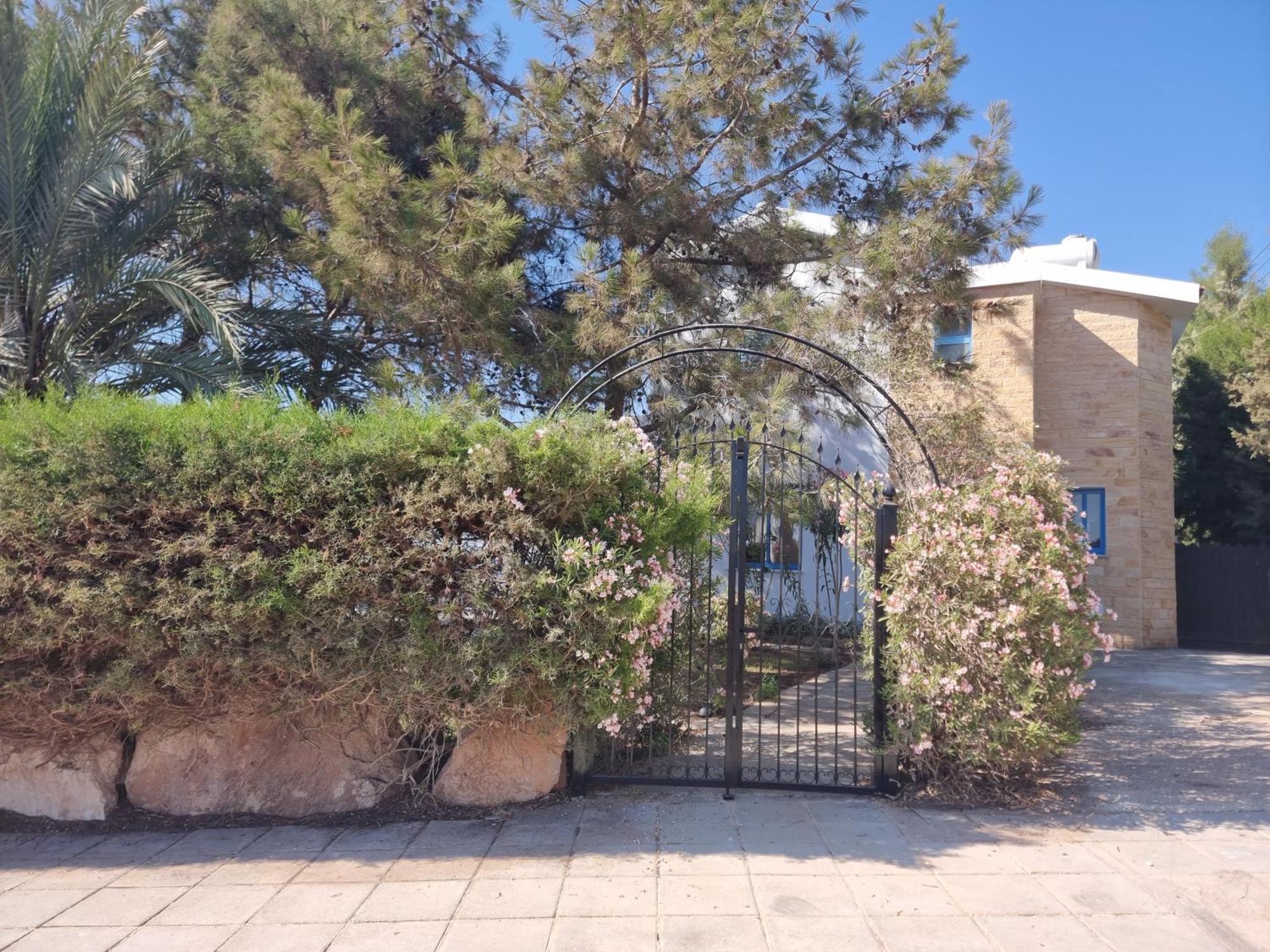 Olive Beach Villa Pegeia Eksteriør billede