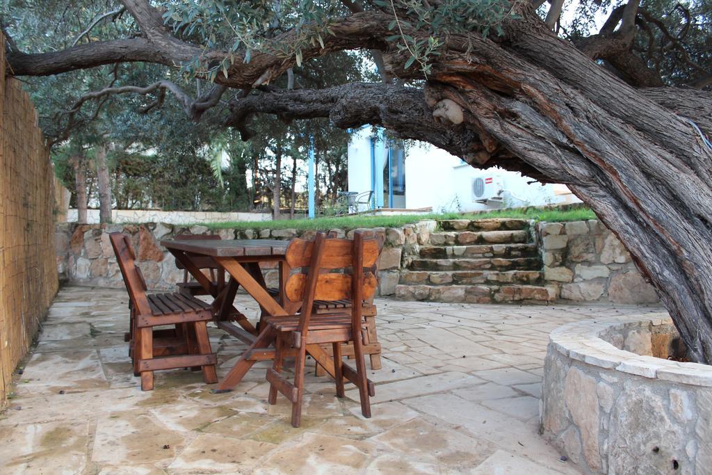 Olive Beach Villa Pegeia Værelse billede