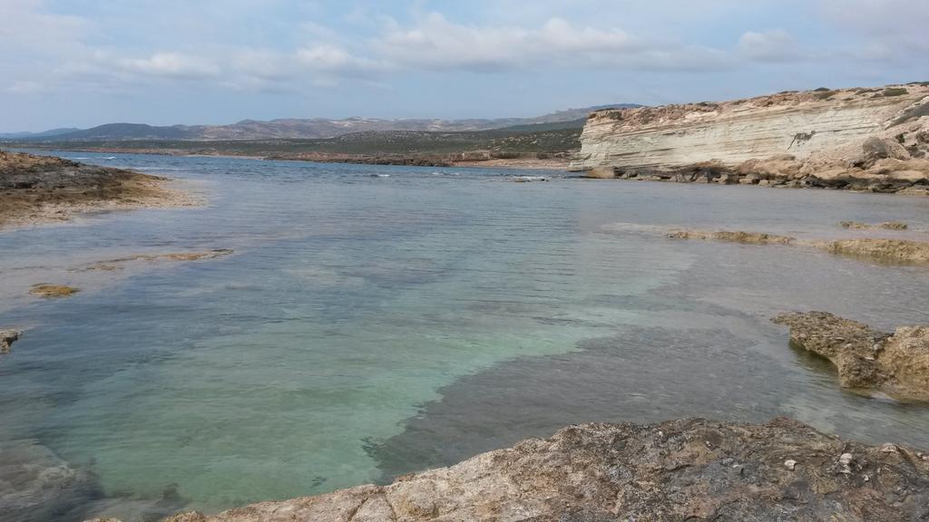 Olive Beach Villa Pegeia Eksteriør billede